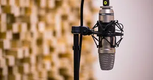 A microphone on a mic stand with acoustic treatment in the background.