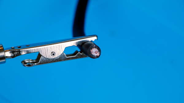 An image of a cut microphone cable.