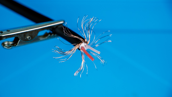 An image of a microphone cable with the inner string cut back.