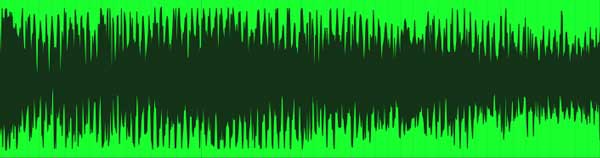 An image of a mono audio file.