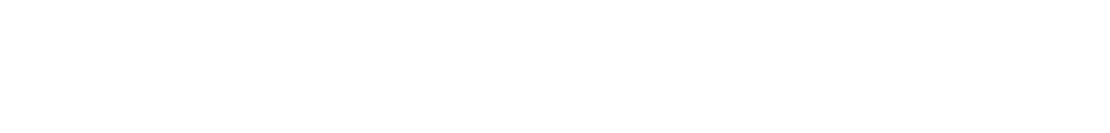 Black Ghost Audio logotype.