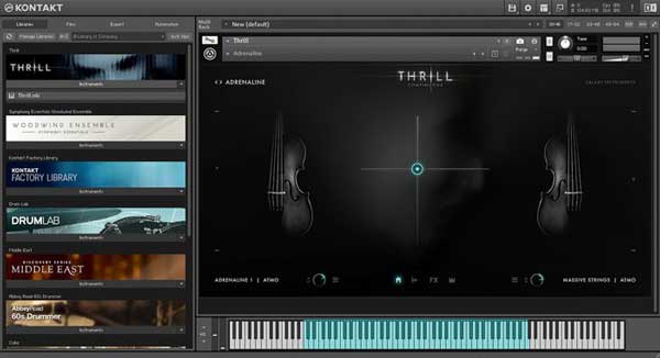An image of Native Instruments' Kontakt 6 VST plugin.