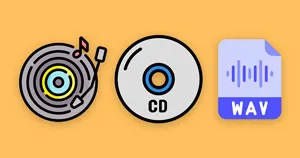 A vinyl icon, CD icon, and digital WAV file icon.