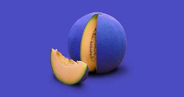 An image of a blue cantelope.