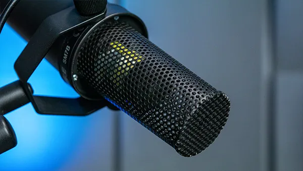 An image of the capsule nested within the Shure SM7B.